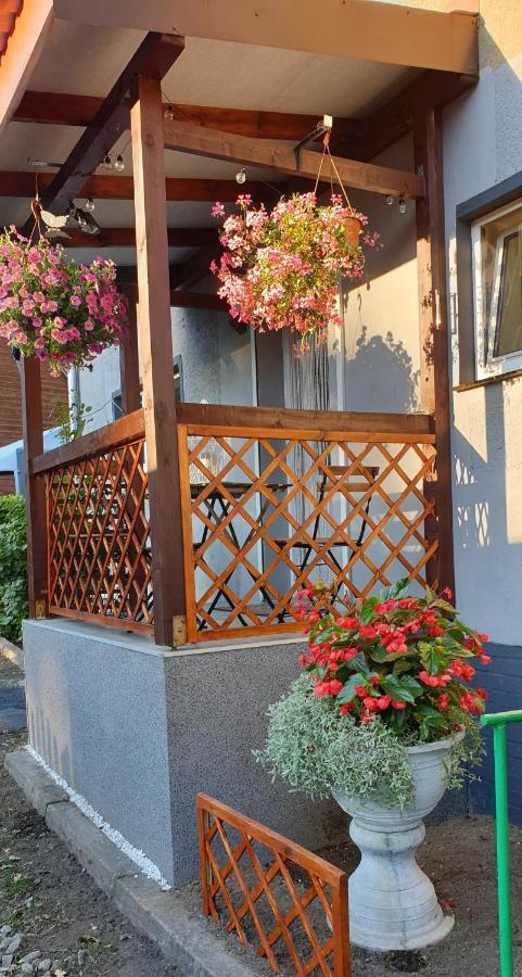 Pod Debem Apartment Jugow Exterior photo